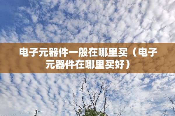 电子元器件一般在哪里买（电子元器件在哪里买好）