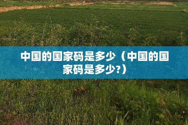 中国的国家码是多少（中国的国家码是多少?）