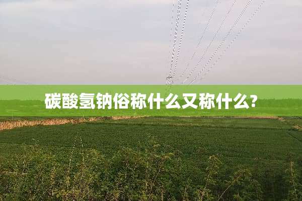 碳酸氢钠俗称什么又称什么?