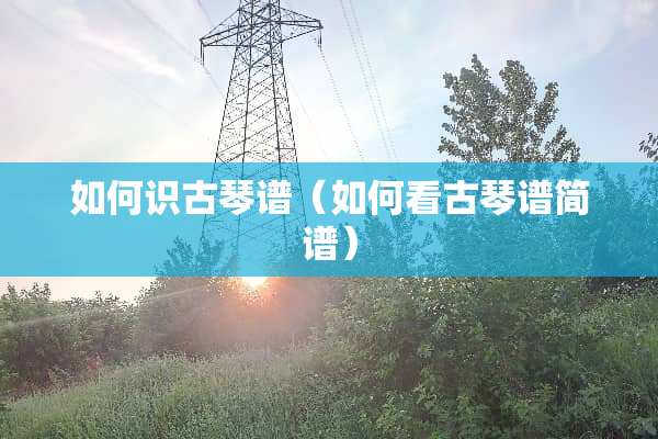 如何识古琴谱（如何看古琴谱简谱）
