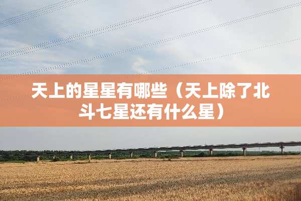 天上的星星有哪些（天上除了北斗七星还有什么星）