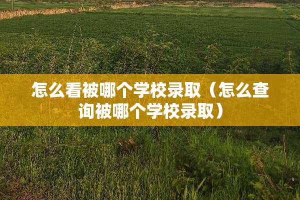 怎么看被哪个学校录取（怎么查询被哪个学校录取）