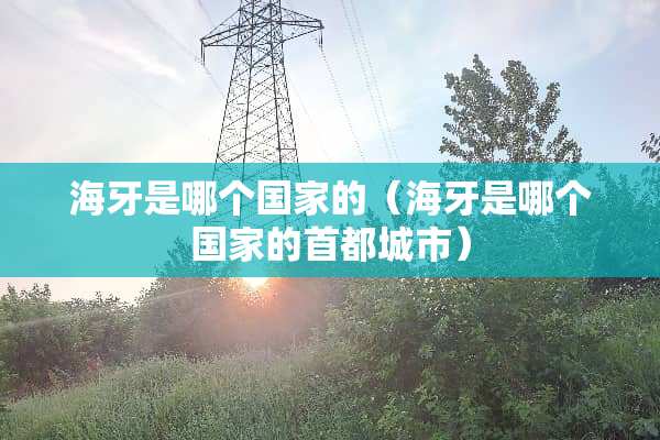海牙是哪个国家的（海牙是哪个国家的首都城市）