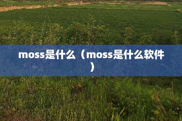 moss是什么（moss是什么软件）