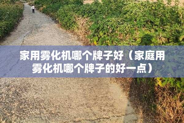 家用雾化机哪个牌子好（家庭用雾化机哪个牌子的好一点）
