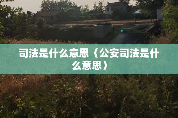 司法是什么意思（**司法是什么意思）