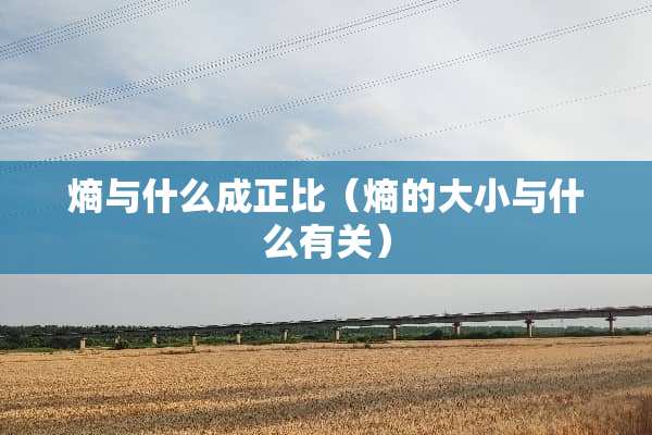 熵与什么成正比（熵的大小与什么有关）