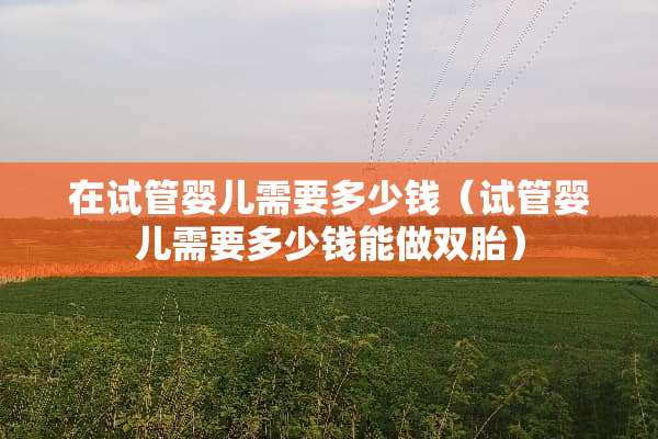 在试管婴儿需要多少钱（试管婴儿需要多少钱能做双胎）