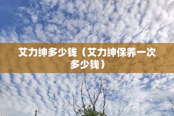 艾力绅多少钱（艾力绅保养一次多少钱）
