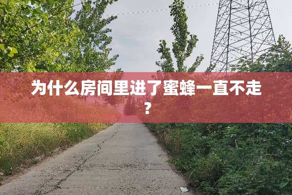 为什么房间里进了蜜蜂一直不走？