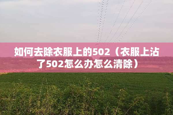 如何去除衣服上的502（衣服上沾了502怎么办怎么清除）