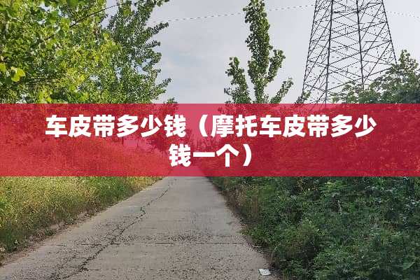 车皮带多少钱（摩托车皮带多少钱一个）