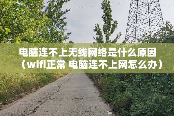 电脑连不上无线网络是什么原因（wifi正常 电脑连不上网怎么办）