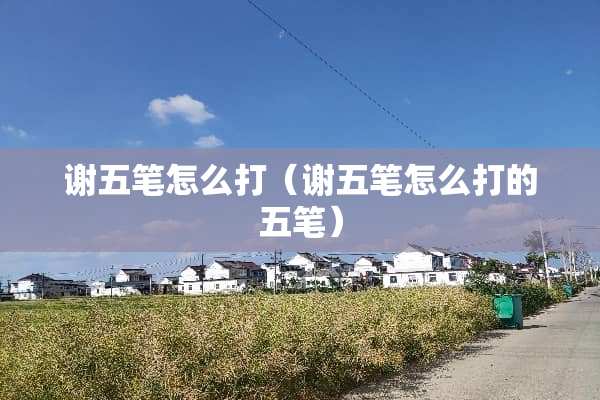 谢五笔怎么打（谢五笔怎么打的五笔）