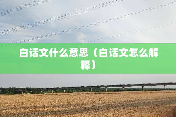 白话文什么意思（白话文怎么解释）