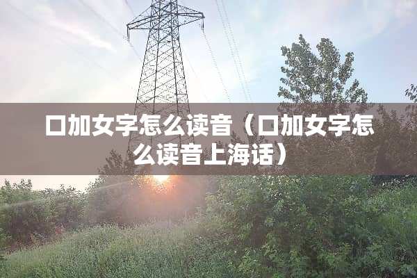 口加女字怎么读音（口加女字怎么读音上海话）