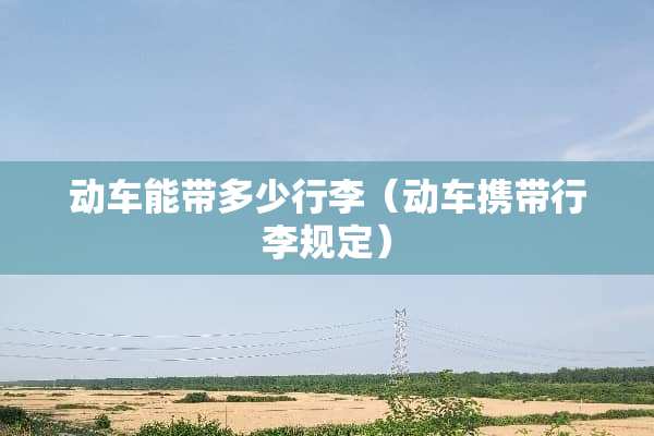 动车能带多少行李（动车携带行李规定）