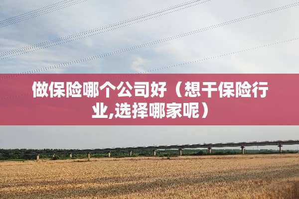 做保险哪个公司好（想干保险行业,选择哪家呢）