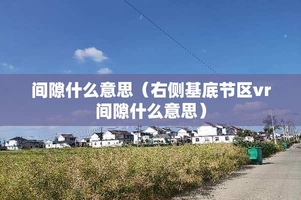 间隙什么意思（右侧基底节区vr间隙什么意思）