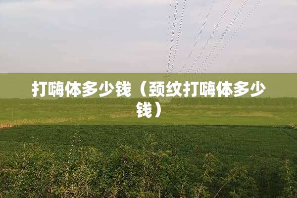 打嗨体多少钱（颈纹打嗨体多少钱）