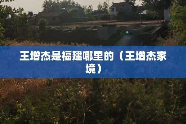 王增杰是福建哪里的（王增杰家境）