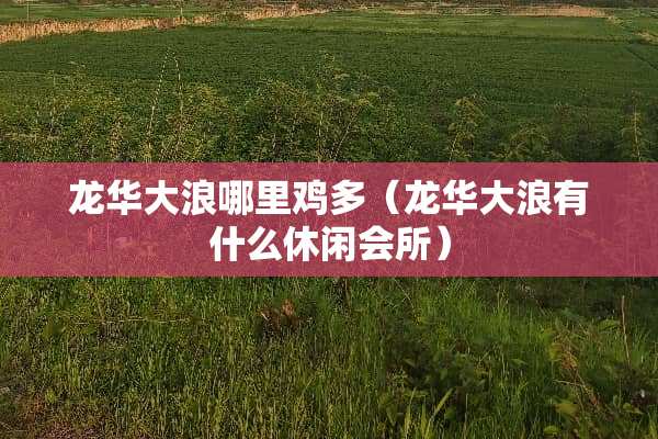 龙华大浪哪里鸡多（龙华大浪有什么休闲会所）