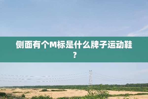 侧面有个M标是什么牌子运动鞋？