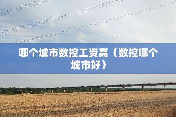 哪个城市数控工资高（数控哪个城市好）