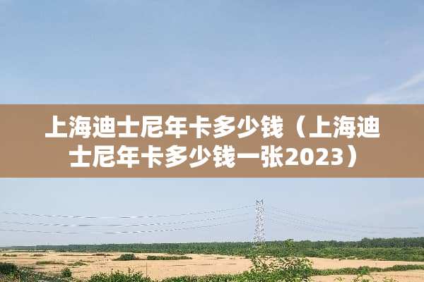 上海迪士尼年卡多少钱（上海迪士尼年卡多少钱一张2023）