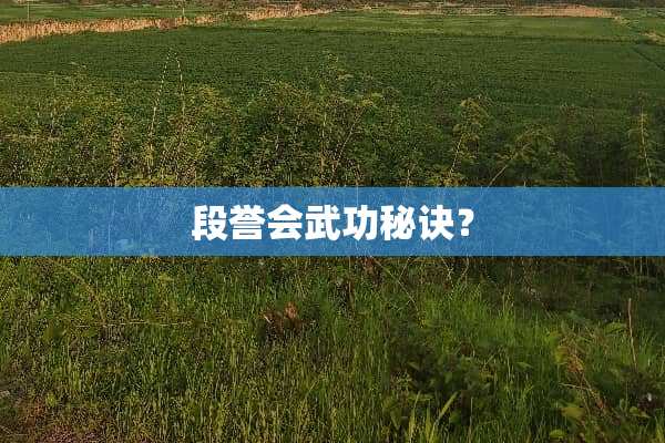 段誉会武功秘诀？