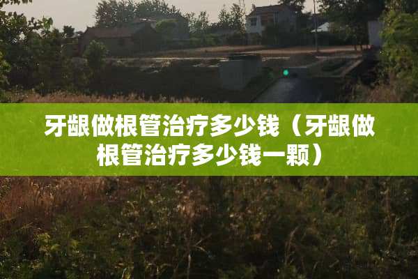 牙龈做根管治疗多少钱（牙龈做根管治疗多少钱一颗）