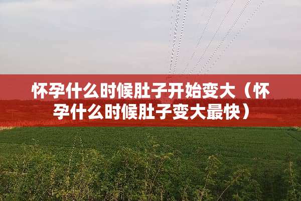 怀孕什么时候肚子开始变大（怀孕什么时候肚子变大最快）