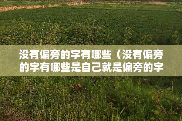 没有偏旁的字有哪些（没有偏旁的字有哪些是自己就是偏旁的字）