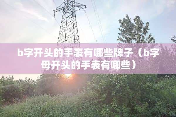 b字开头的手表有哪些牌子（b字母开头的手表有哪些）