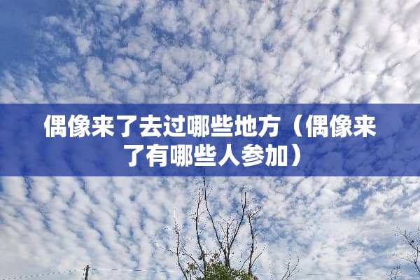 偶像来了去过哪些地方（偶像来了有哪些人参加）
