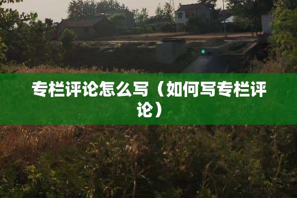 专栏评论怎么写（如何写专栏评论）