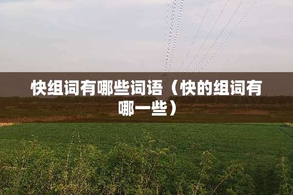 快组词有哪些词语（快的组词有哪一些）