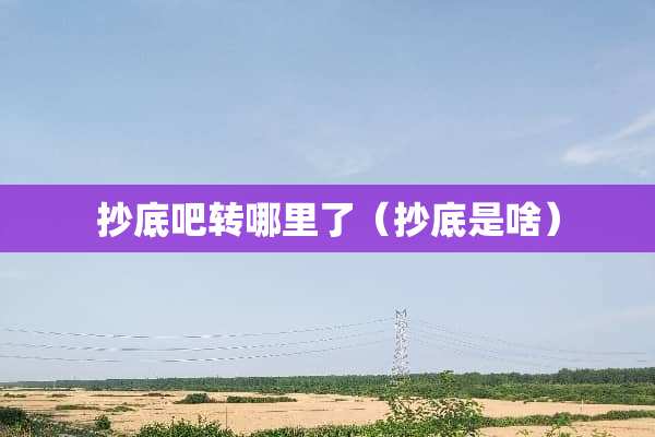 抄底吧转哪里了（抄底是啥）