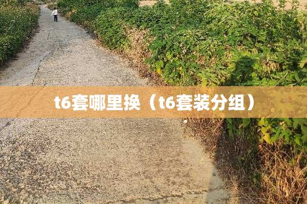 t6套哪里换（t6套装分组）