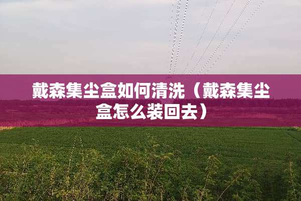 戴森集尘盒如何清洗（戴森集尘盒怎么装回去）