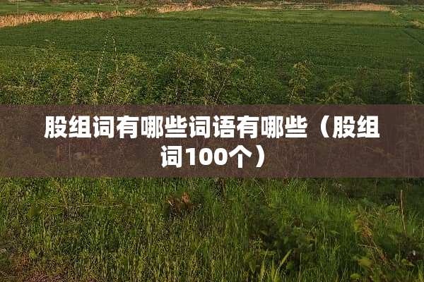 股组词有哪些词语有哪些（股组词100个）