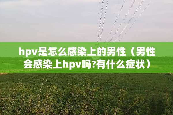 hpv是怎么感染上的男性（男性会感染上hpv吗?有什么症状）