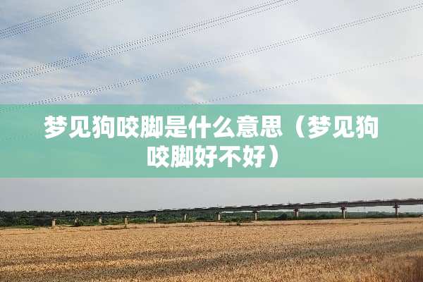 梦见狗咬脚是什么意思（梦见狗咬脚好不好）