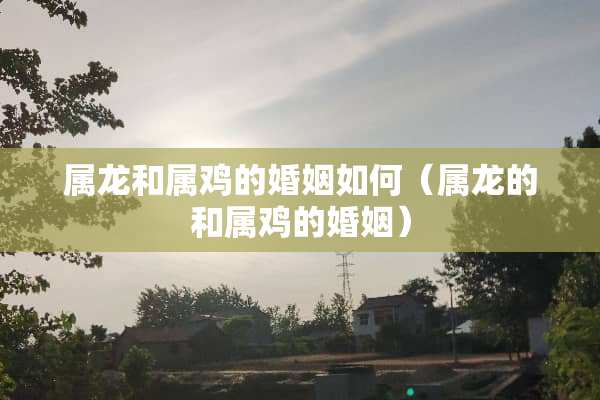 属龙和属鸡的婚姻如何（属龙的和属鸡的婚姻）