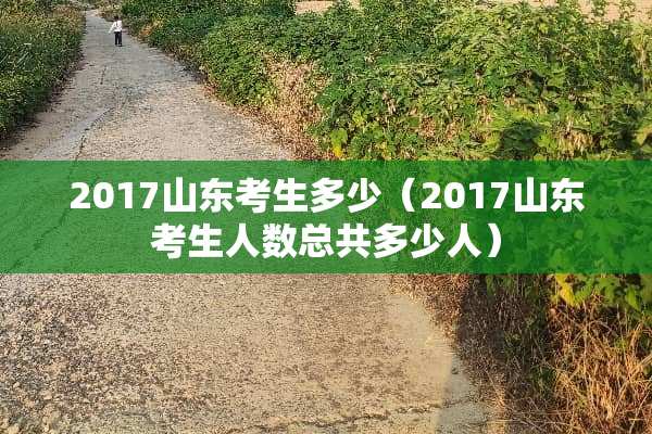 2017山东考生多少（2017山东考生人数总共多少人）