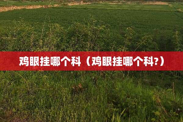 鸡眼挂哪个科（鸡眼挂哪个科?）