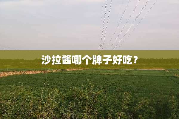 沙拉酱哪个牌子好吃？