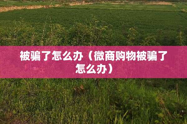 被骗了怎么办（微商购物被骗了怎么办）