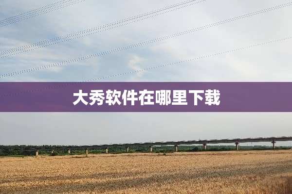 大秀软件在哪里下载