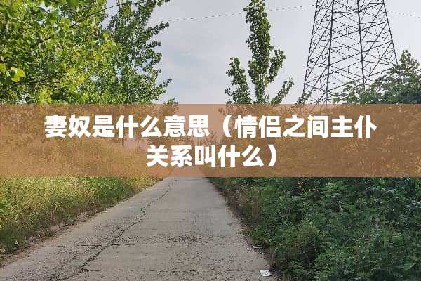 妻*是什么意思（情侣之间主仆关系叫什么）